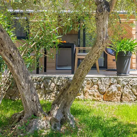 Parco vacanze Oliveto - Adults Only 4*