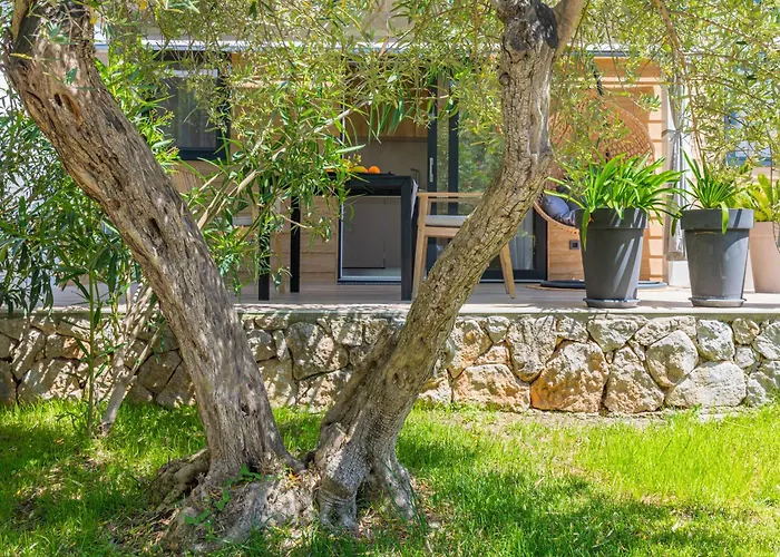 Parco vacanze Oliveto - Adults Only 4*